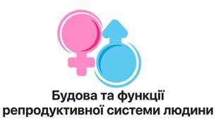 Презентація: "Будова та функції репродуктивної системи людини" біологія 8 клас НУШ