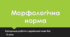Контрольна робота. Морфологічна норма. 10 клас.