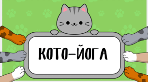 "Кото-йога"
