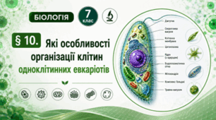 Які особливості організації клітин одноклітинних евкаріотів. 7 клас НУШ.