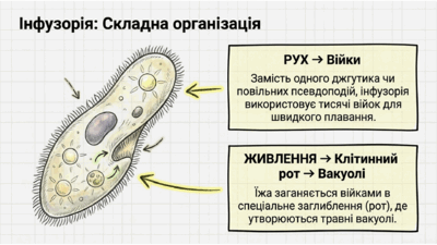 0901w0dm-6261-400x225.png