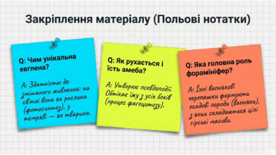 0901w0e8-2673-391x220.png