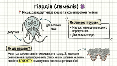 0901w0w4-45e8-400x225.png