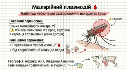0901w0w9-1236-411x231.png