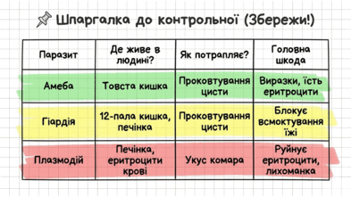 0901w0wj-5220-393x221.png