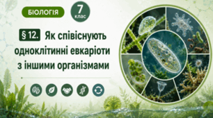 Як співіснують одноклітинні евкаріоти з іншими організмами. 7 клас НУШ