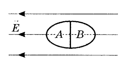 0901w4d4-9d7e-432x219.png