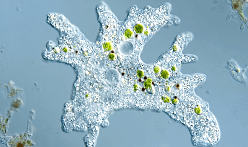 0901w5a0-45a2-940x558.png