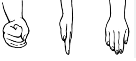 0901w5t7-272d-461x208.png