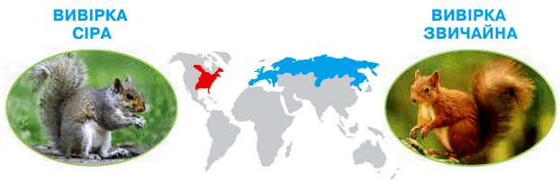 0901w5v5-1b41-622x201.png