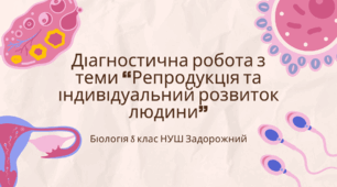 Діагностична робота з теми «Репродукція та індивідуальний розвиток людини» 8 клас Задорожний