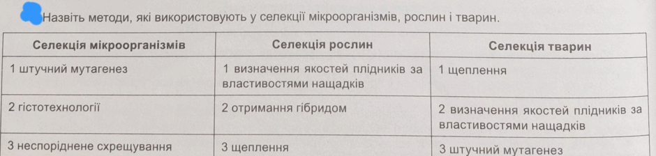 0901w83t-813d-940x224.png