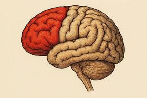 0901w8bq-8862-290x193.jpg