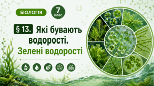 Які бувають водорості. Зелені водорості. 7 клас НУШ.