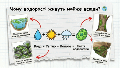 0901w8li-b04e-408x230.png