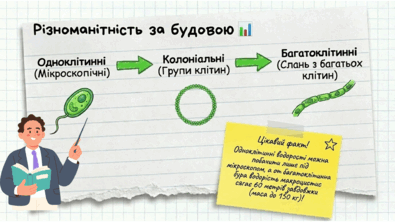 0901w8lm-fb02-395x222.png