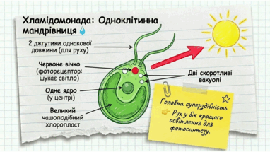 0901w8n6-87b6-382x215.png