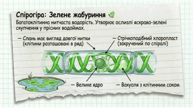 0901w8ng-e942-386x217.png