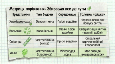 0901w8nm-f0b9-403x227.png