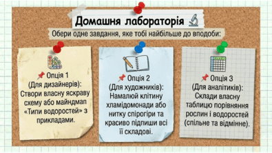 0901w8ok-0823-395x222.png
