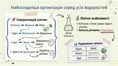 0901w8ri-8abb-391x220.png