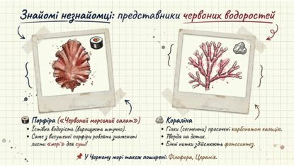 0901w8ru-2790-415x234.png