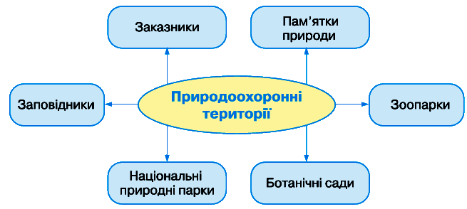 0901w8sk-dbab-655x294.png