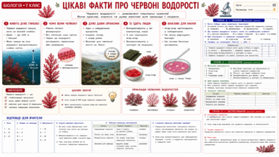 0901w8t7-11e1-395x222.png