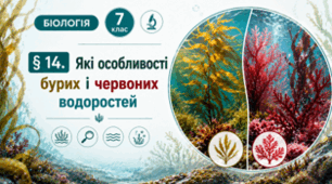 Які особливості бурих і червоних водоростей. 7 клас НУШ.