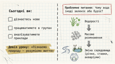 0901w8wd-c538-393x221.png