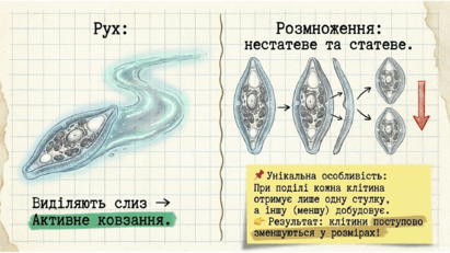 0901w8wq-52b4-411x231.png