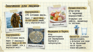 0901w8x7-2e28-376x212.png