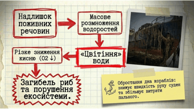 0901w8x8-b0d9-389x219.png