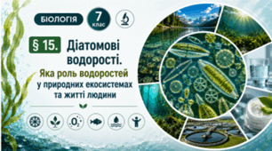 Діатомові водорості. Яка роль водоростей у природних екосистемах та житті людини. 7 клас НУШ.