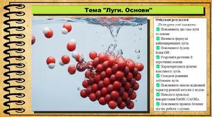 Луги. Основи. Хімія. 9 клас. НУШ (2026). До підручника Попель П., Крикля Л.