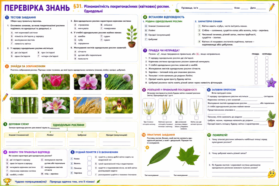 0901wbfd-7ade-940x627.png