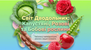 § 32. Різноманітність покритонасінних (квіткових) рослин. Дводольні: Капустяні, Розові, Бобові + самостійна робота