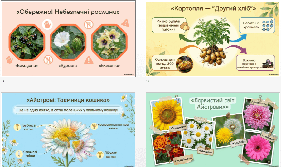 0901wbjb-8d65-901x534.png