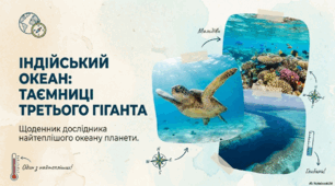 Індійський океан