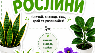 Дидактична гра "Кімнатні рослини "