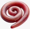 0901weoi-7a28-102x99.png