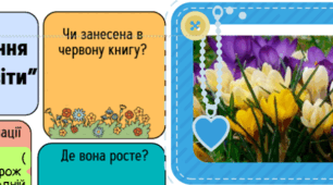 Інтерактивний проєкт-дослідження