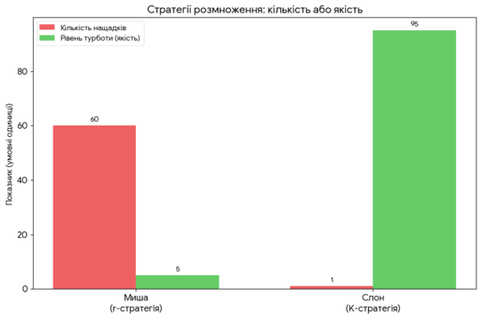 0901wg80-9d92-541x359.png