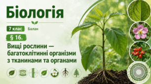 Вищі рослини — багатоклітинні організми з тканинами та органами. 7 клас НУШ
