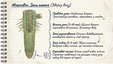 0901winz-8914-392x221.png