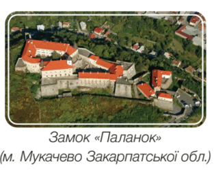 0901wkd7-47de-313x253.png