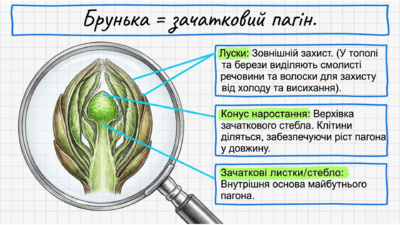 0901wkhk-70ee-400x225.png