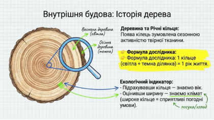 0901wkj7-5c90-420x236.png