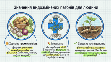 0901wkjl-0670-373x210.png