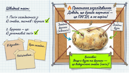 0901wkk0-ec58-422x238.png